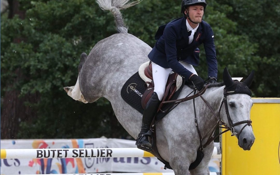 Championnat de France des juments de 6 ans : Joyeuse du Tertre *Equimeca signe une belle 14ᵉ place à Fontainebleau