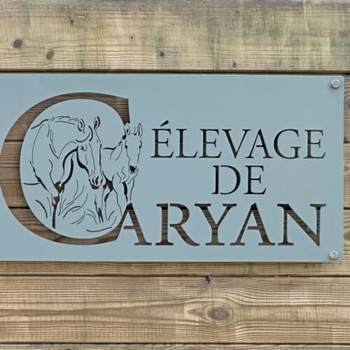 ELV DE CARYAN
